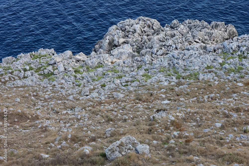 The rock and sparse vegetation on stony ground sea coast.