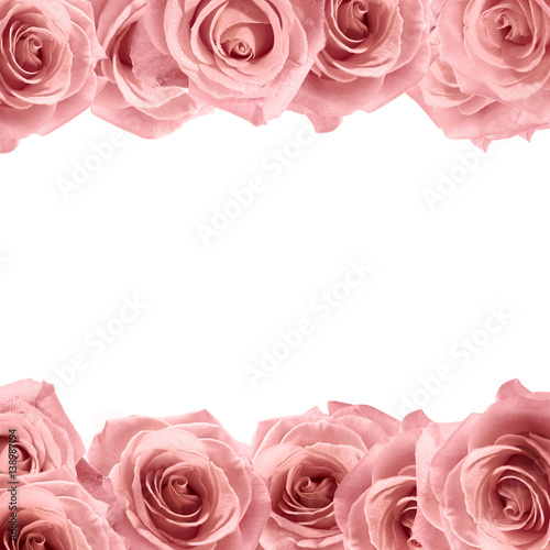 Fresh soft pink rose frame on white background. Wedding background.