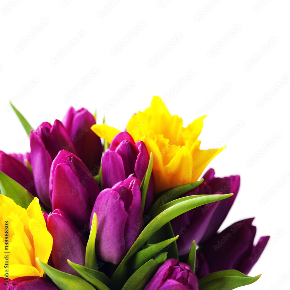 Fototapeta premium Spring flowers