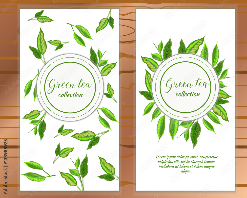 Vector vertical green tea banner with tea leaves on white backgroud. Design for packaging, tea shop, drink menu, homeopathy and health care products.