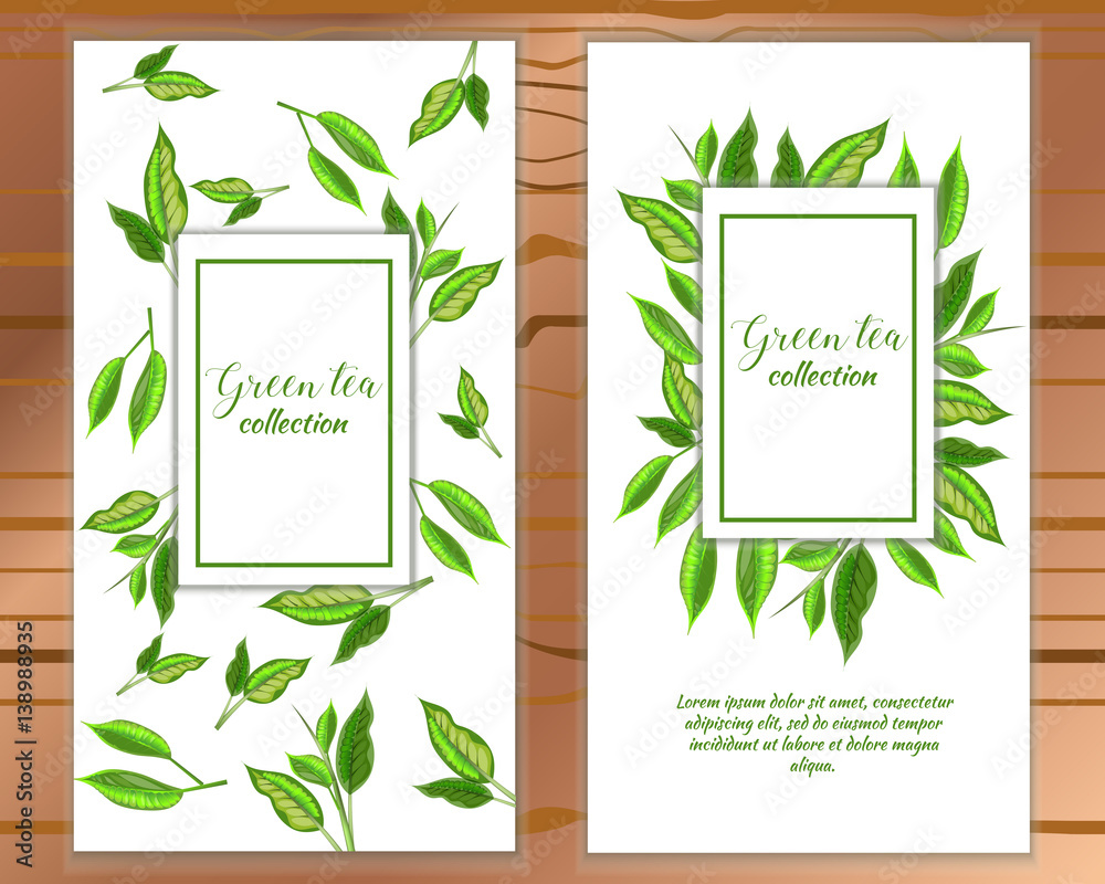 Vector vertical green tea banner with tea leaves on white backgroud. Design for packaging, tea shop, drink menu, homeopathy and health care products.
