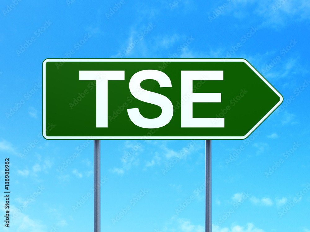 Stock market indexes concept: TSE on road sign background Stock market indexes concept: TSE on road sign background