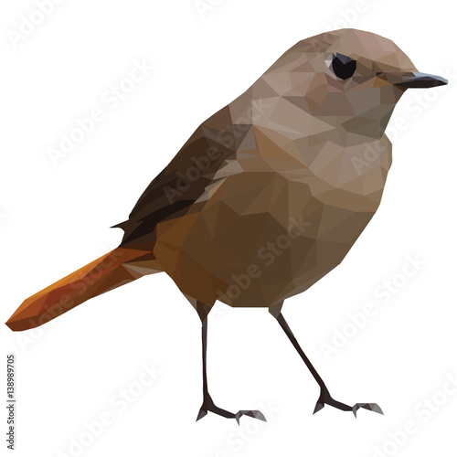 Low Polygonal small bird model