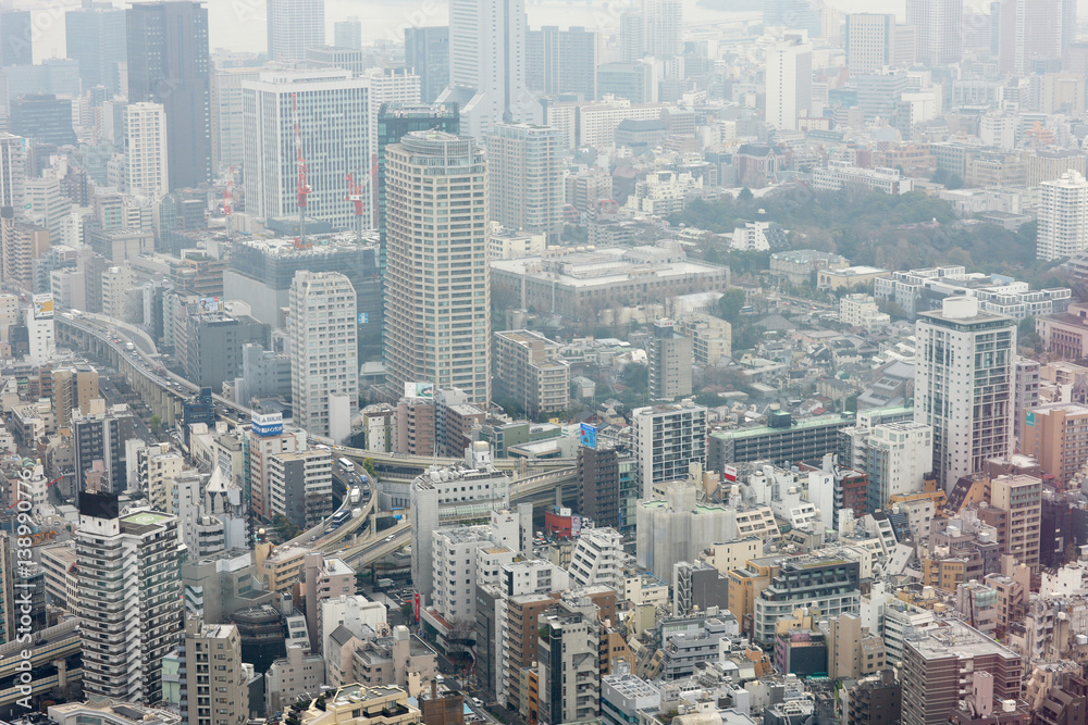 Panoramic view of the metropolis from a skyscraper window. Japan.