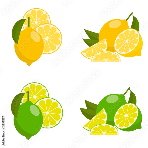 Icon lemon and lime, vector.