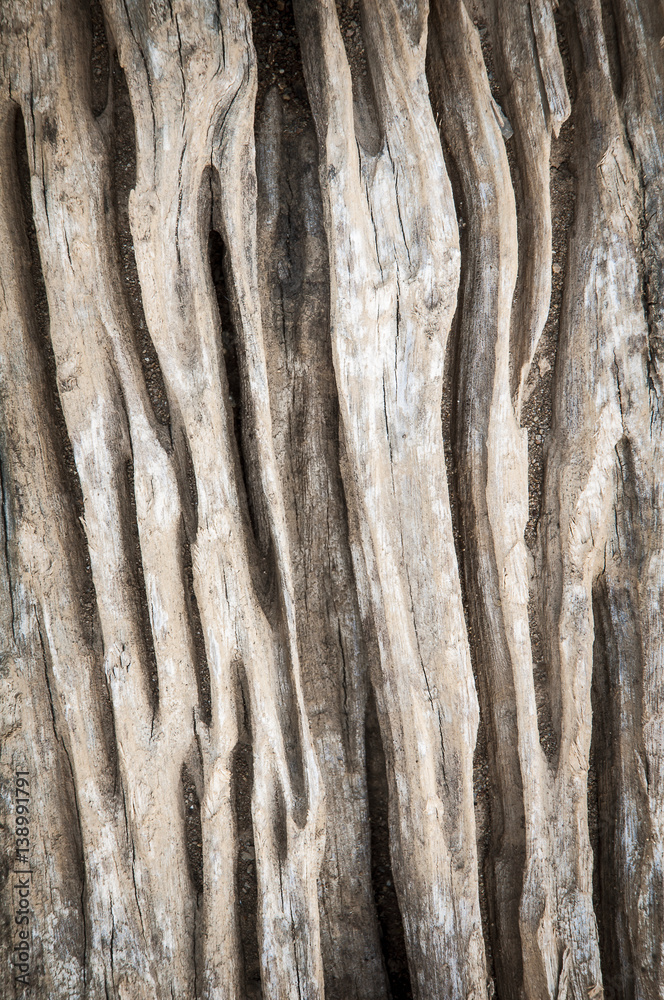 Wood grain texture for background use Wood grain texture for background use