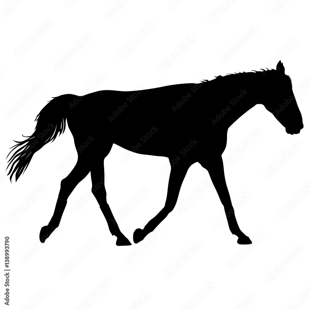 Obraz premium silhouette of black mustang horse vector illustration