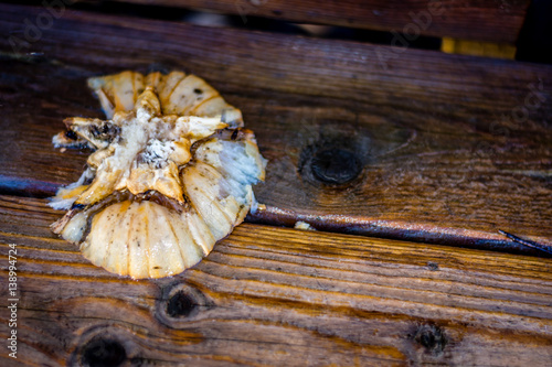 Degraded Pumpkin