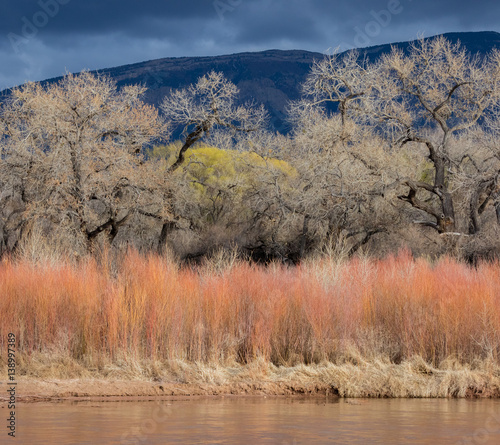 Rio Grande, willows, cottonwood trees and Sandia Mountains in central New Mexico