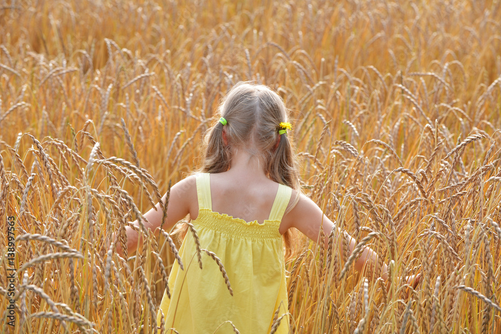 beautiful girl in field beautiful girl in field