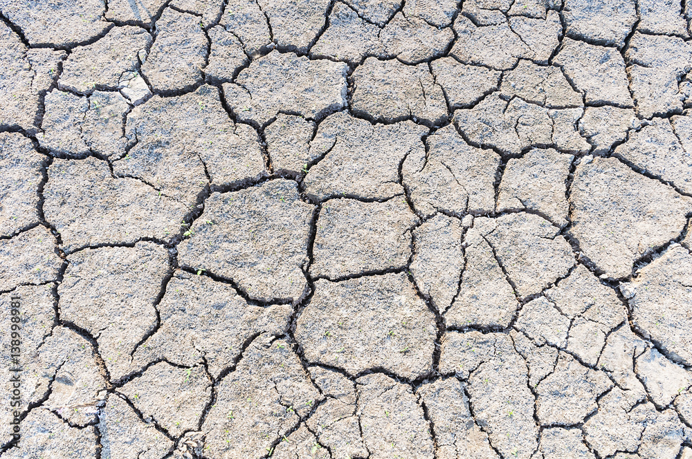 Cracked soil surface in dry season, gray tone texture background Cracked soil surface in dry season, gray tone texture background
