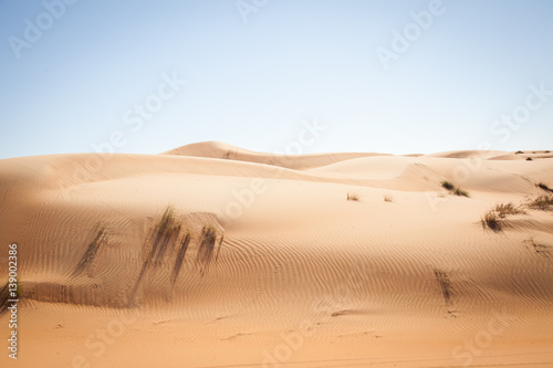 feel of loneliness in desert