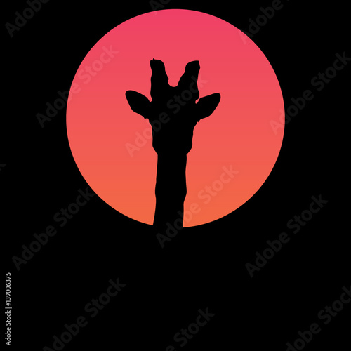 Giraffe head silhouette/Giraffe silhouette in the sunset