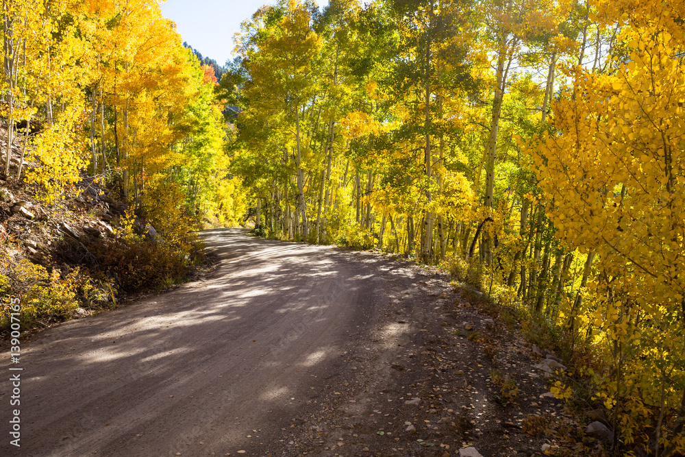 Dirt road through trees with fall colors Dirt road through trees with fall colors