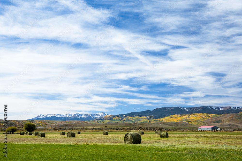 Recently harvested hay bales on farmland in Colorado