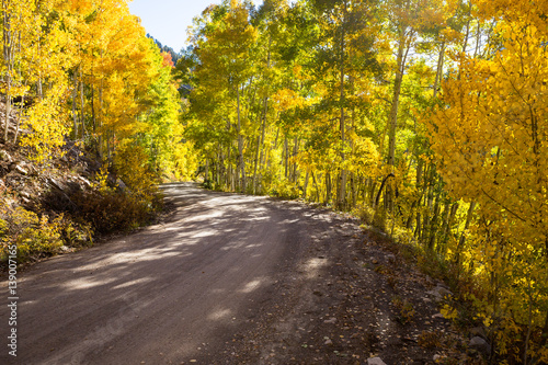 Dirt road through trees with fall colors
