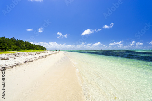 Fototapeta Naklejka Na Ścianę i Meble -  Mauritius - Ile aux Cerf