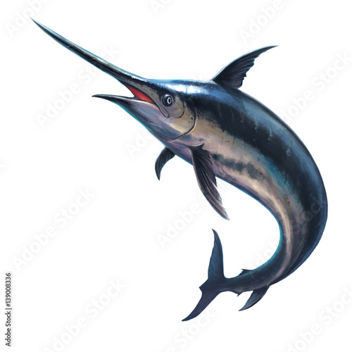 Slika na platnu Fish sword on a white background