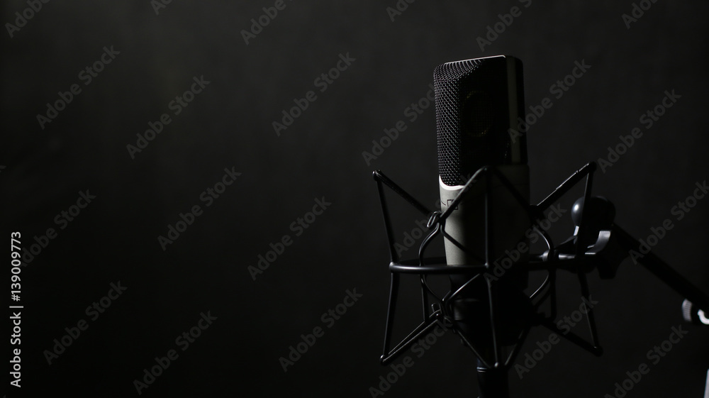 Professional Microphone Professional Microphone