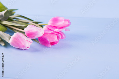 Bouquet of tender pink tulips on blue wooden background
