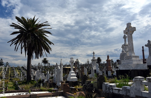 Sydney, Australia - Feb 5, 2017. Waverley Cemetery is a state heritage listed cemetery in an iconic location in Sydney. It is noted for its largely intact Victorian and Edwardian monuments.