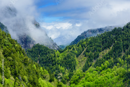 nature around Kurobe Dam