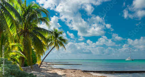 Fototapeta Naklejka Na Ścianę i Meble -  One of Rum Point's beaches on the North of Grand Cayman with a Catamaran on the Caribbean Sea , Cayman Islands