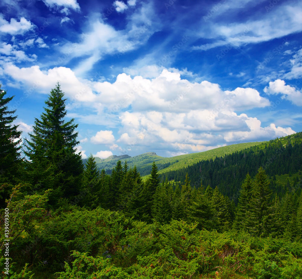 Obraz premium Balkan Mountains