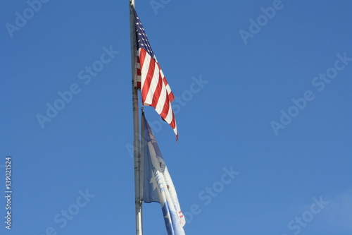 Flags In The Wind photo