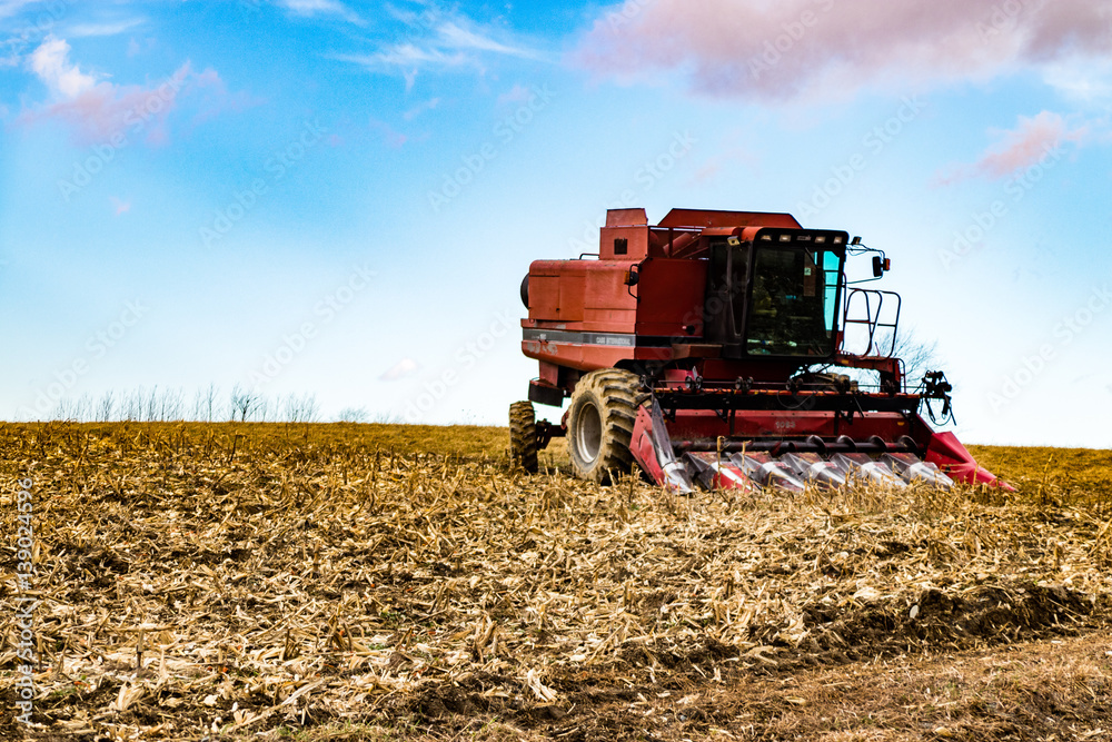 Fototapeta premium blue skys