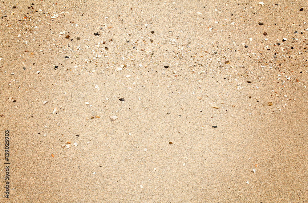 Shells on the beach sand for background. Shells on the beach sand for background.