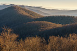 A Winter Morning on the Blue Ridge Parkway