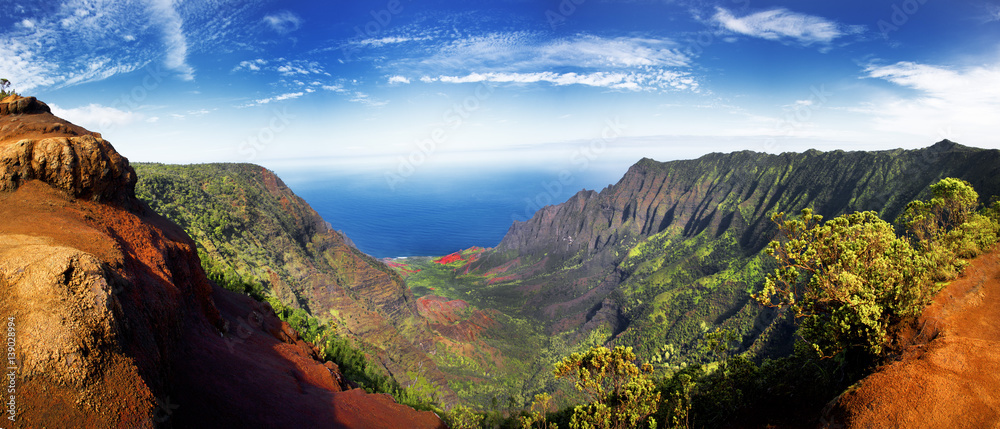 Panoramic view of  lush green foliage in Weimea Canyon and NaPali coast Kauai, Hawaii