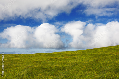 Green grasslands against a dramatic sky in Kohala area of Big Island  Hawaii