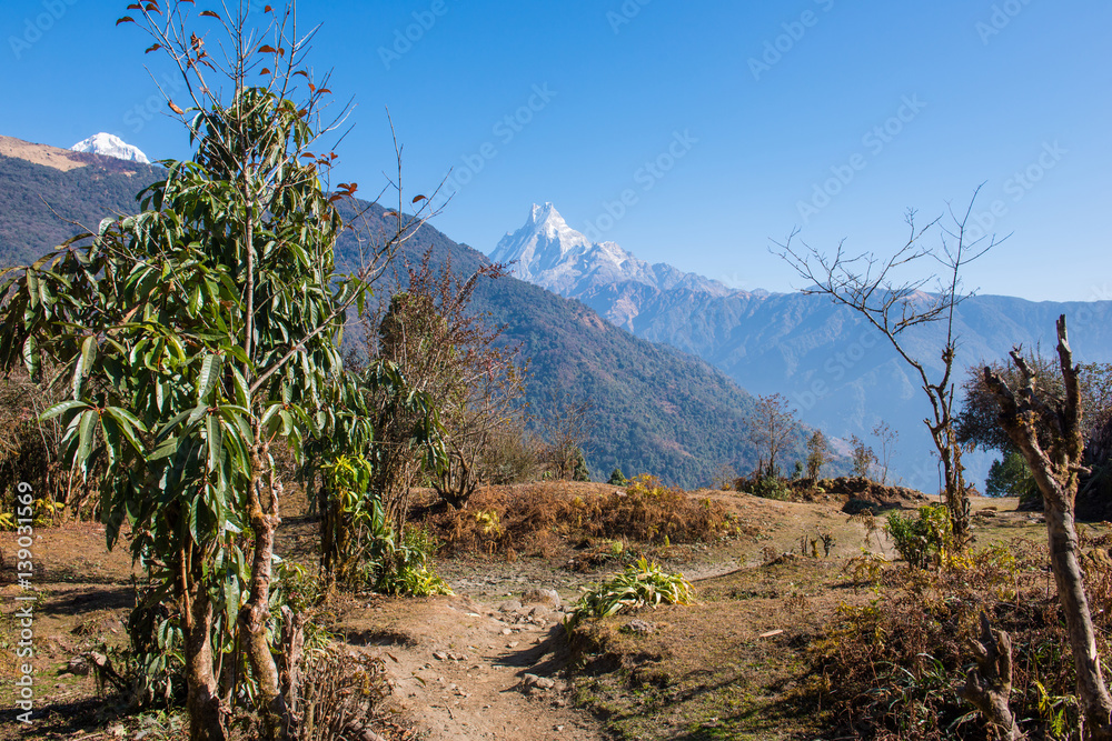 hilltop of snow mountain view on the way to Annapurna base camp hilltop of snow mountain view on the way to Annapurna base camp