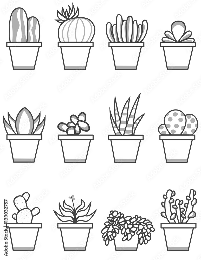 Gray Cute Succulent Icons Gray Cute Succulent Icons