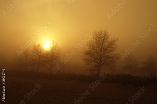 Walnut Beach in the Fog