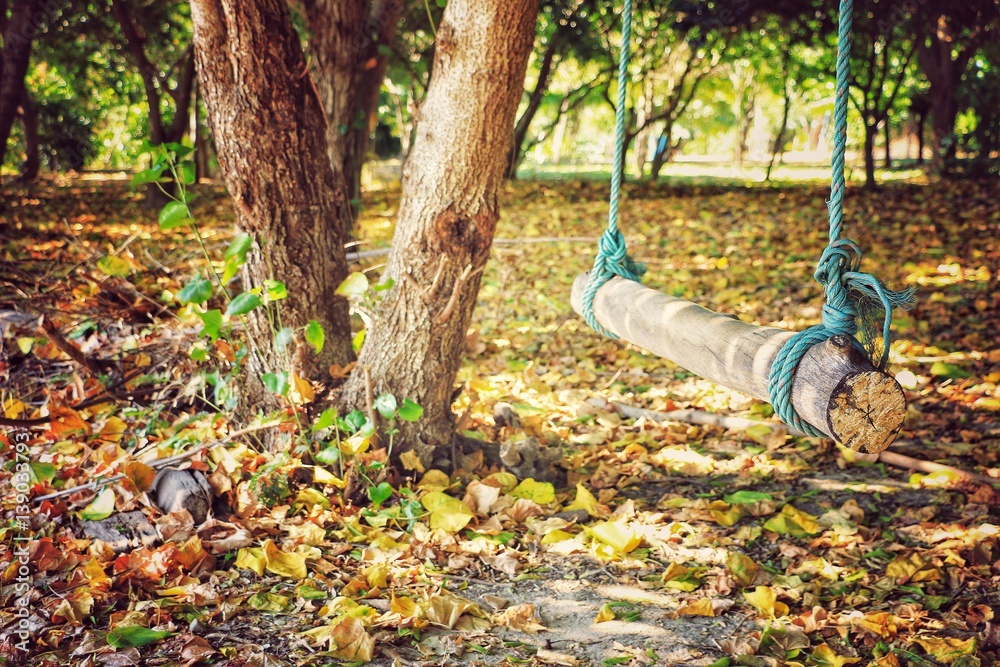 Obraz premium Swing under the tree