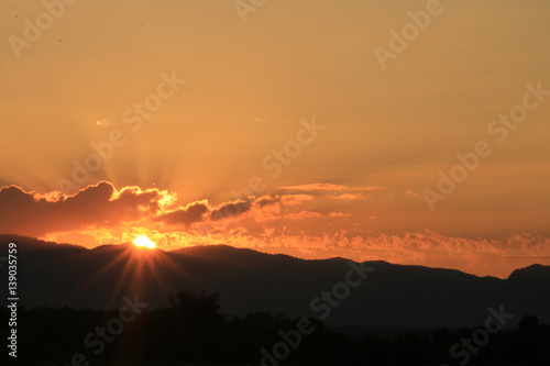 Beautiful Sun rise and sun set background with black silhouetted trees with orange sky.