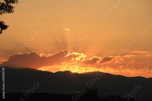 Beautiful Sun rise and sun set background with black silhouetted trees with orange sky.