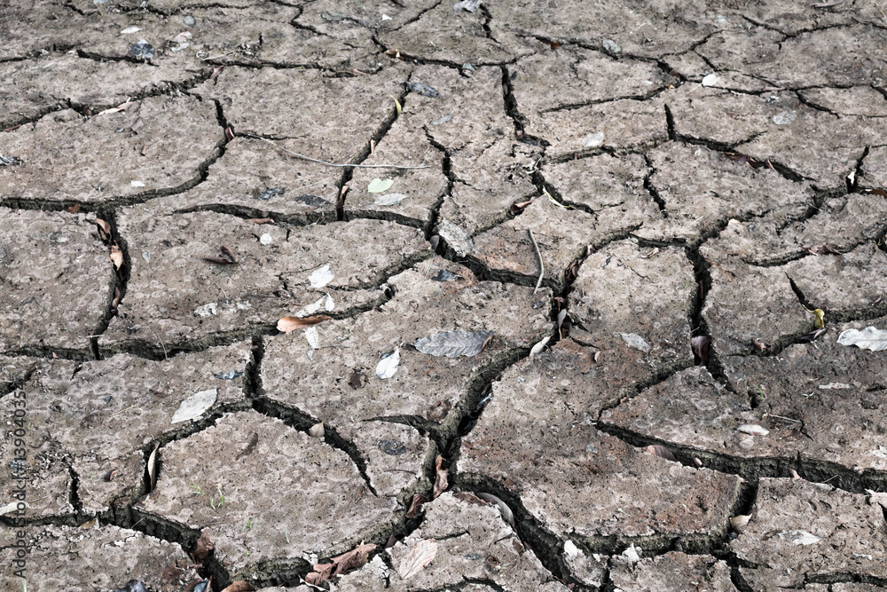 Fototapeta premium Crack dry ground drought texture background.