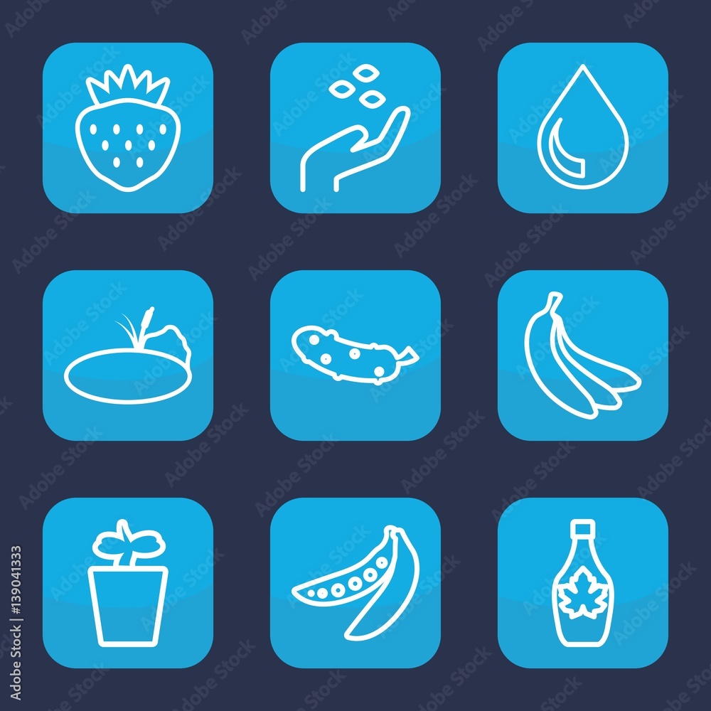 Set of 9 outline natural icons Set of 9 outline natural icons