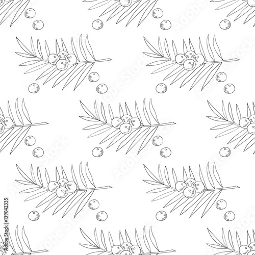Acai berry branch, leaves superfood hand drawn sketch illustration. Seamless pattern.
