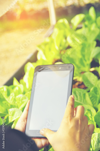 Wallpaper Mural beautiful women  working  outdoor checking report at the farm with tablet Torontodigital.ca