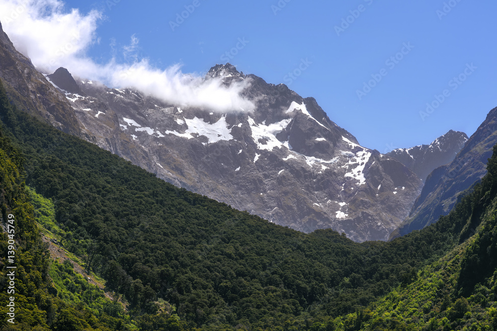mountain in summer with forest grren in foreground and cleared sky
