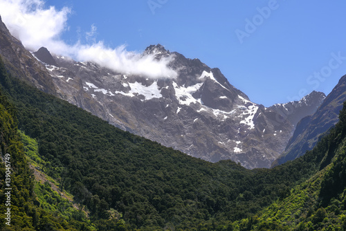 mountain in summer with forest grren in foreground and cleared sky