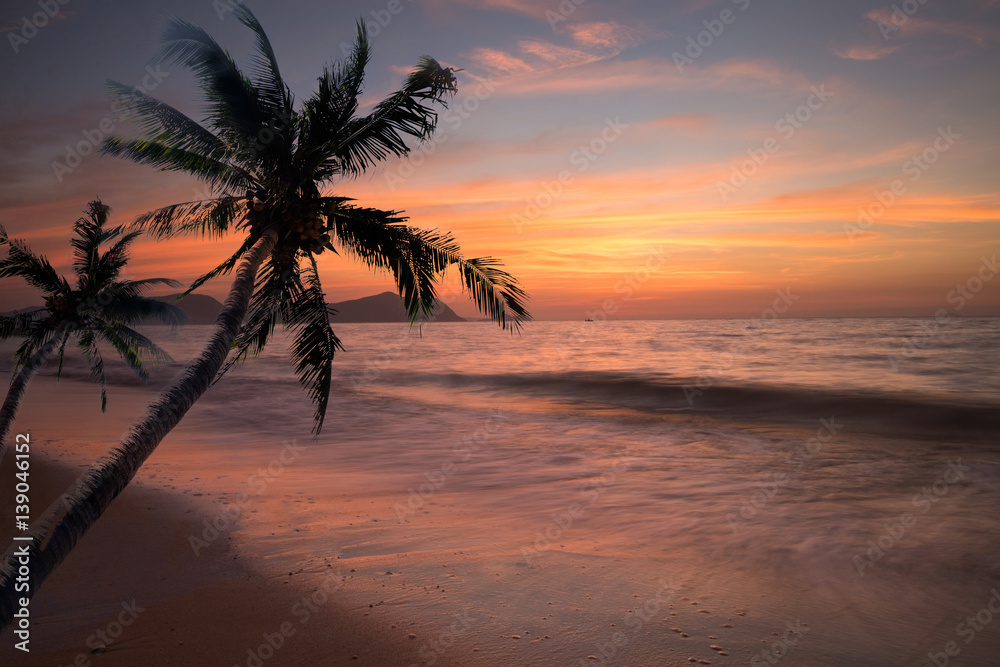 Palm tree sandy beach sunrise