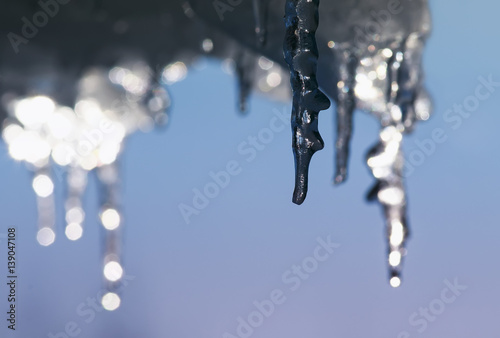 beautiful shiny icicles hanging from the roof in the spring and drip