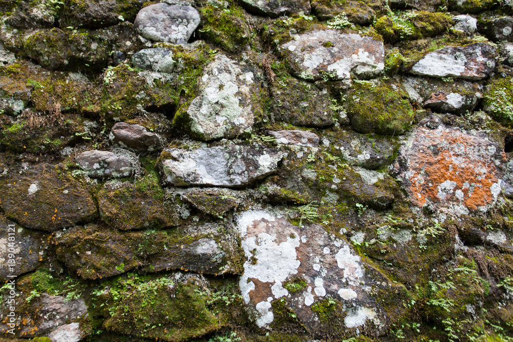 Old stone wall with leaves and moss
