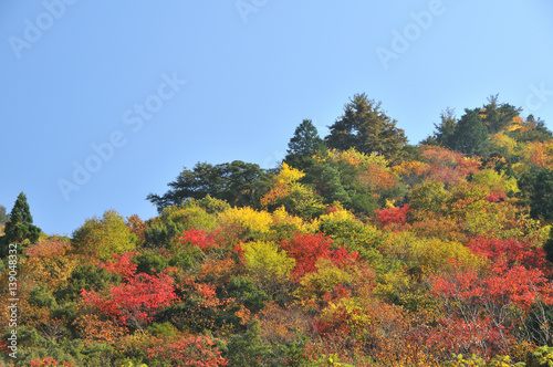 西中国山地の紅葉 © Brown Tabby